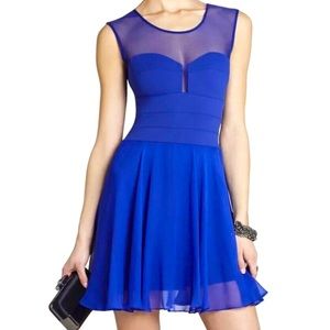 Royal Blue BCBG MaxAzria Cocktail Dress (size 2)
